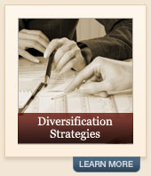 Financial Diversification Strategies