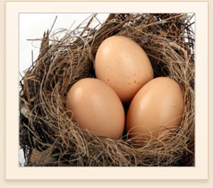 Protect Your Nest Egg